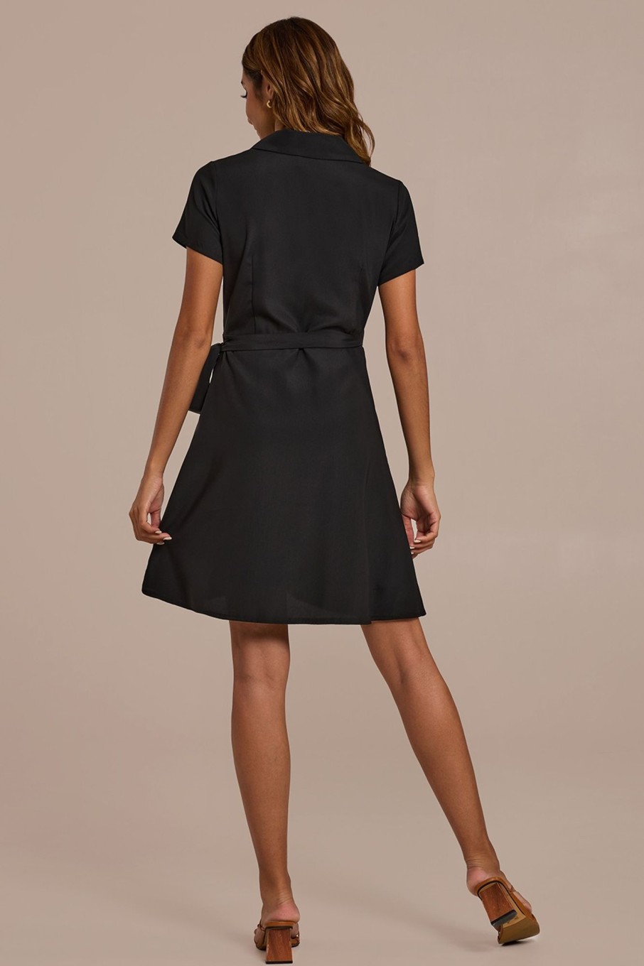 Best Short Sleeve Collared Tie Waist Mini Dress Black