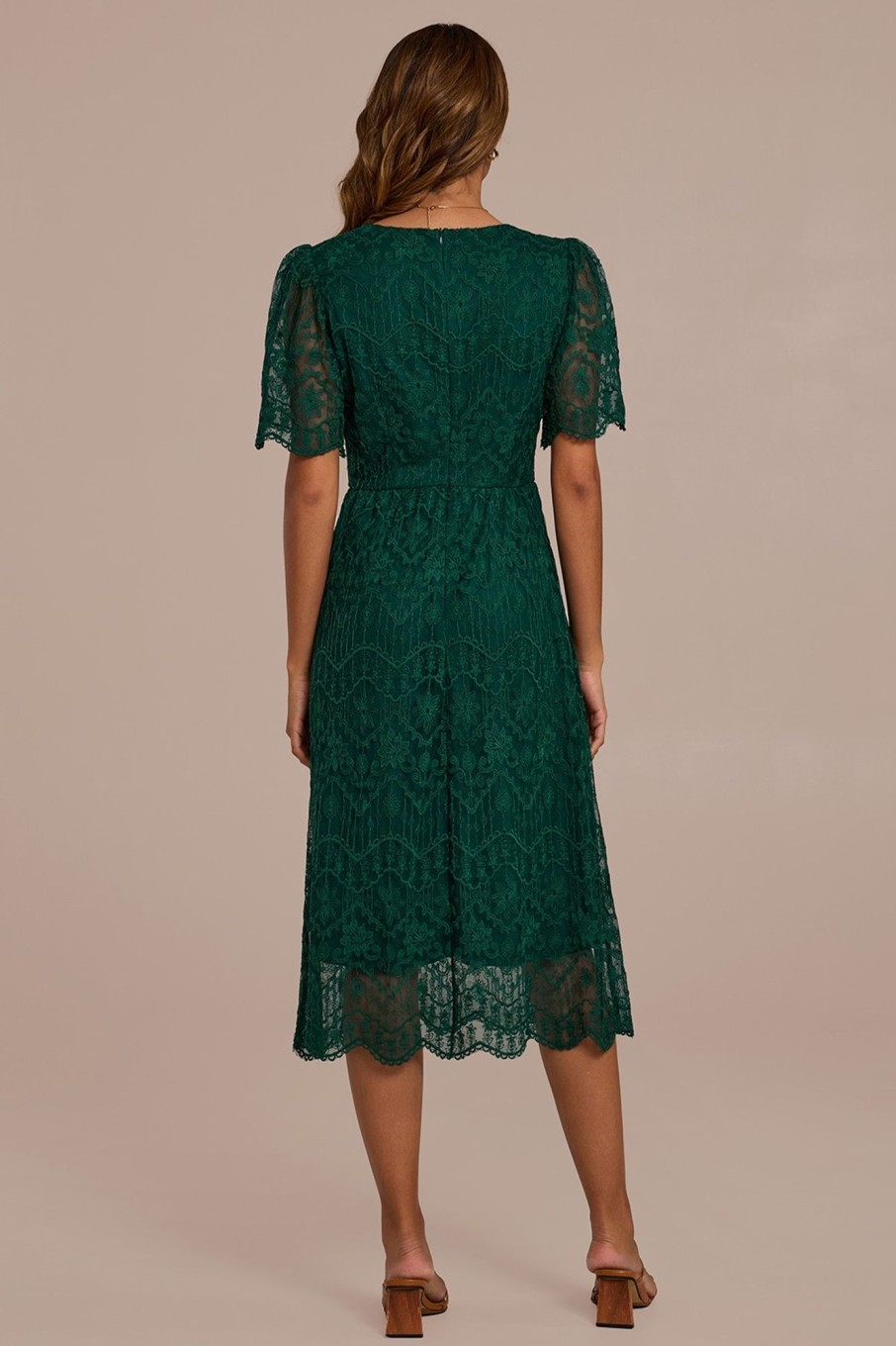 Hot Dark Floral Lace Short Sleeve Round Neck Midi Dress Green